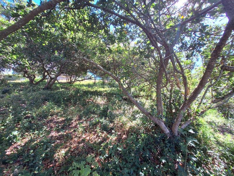 0 Bedroom Property for Sale in Bergsig Western Cape
